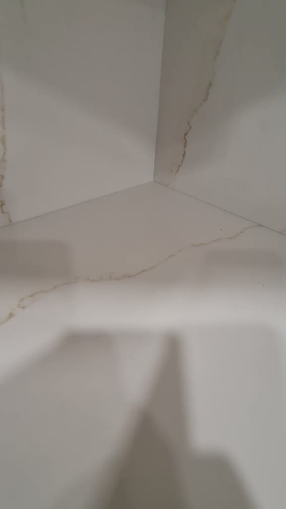 Video tour of a kitchen with dark wood cabinets and white quartz countertops